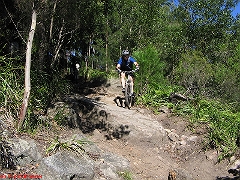 20070520-Bulli 070 